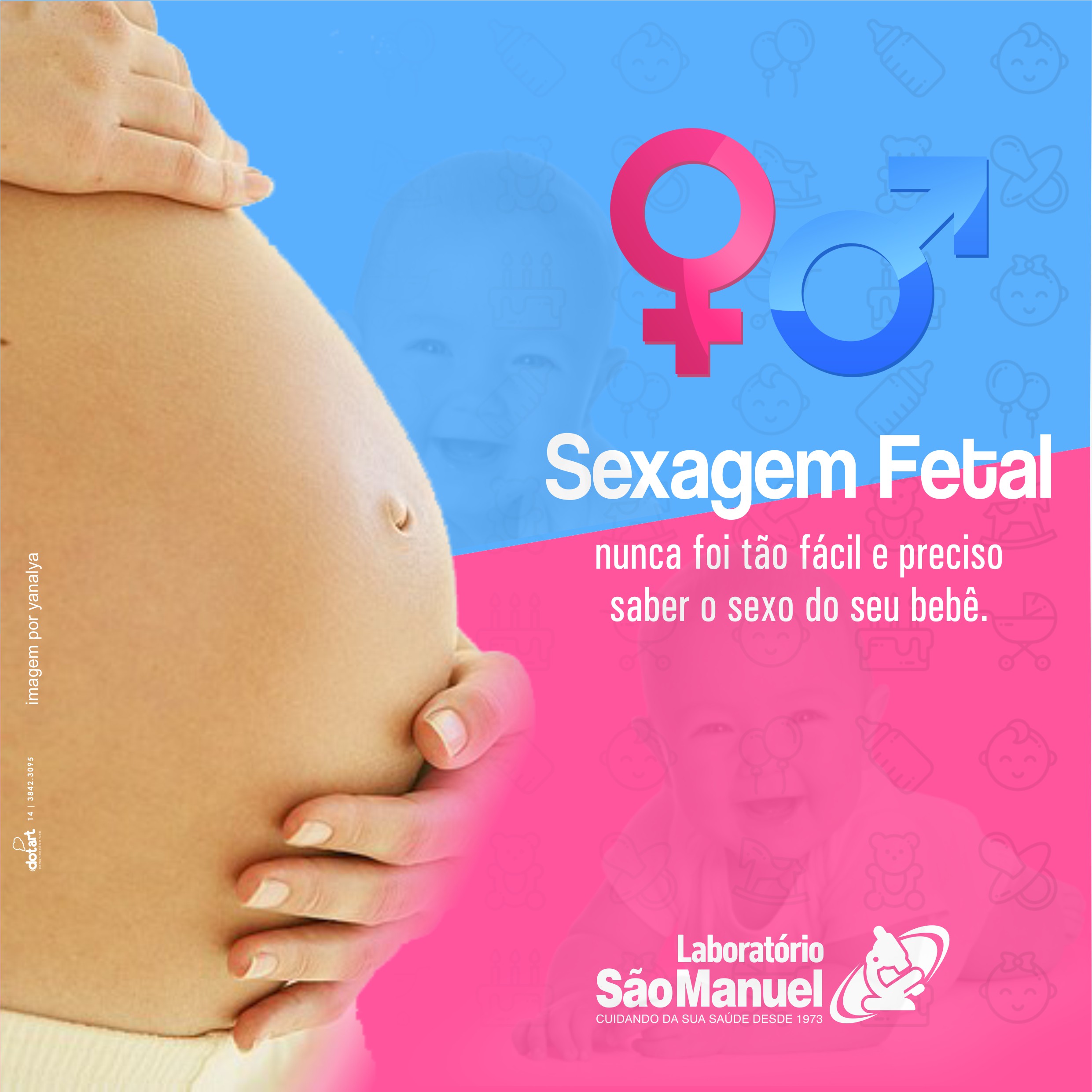 Sexagem Fetal - resultado - Page 3